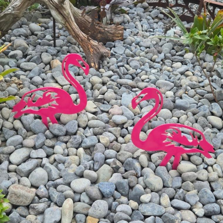 flamingos