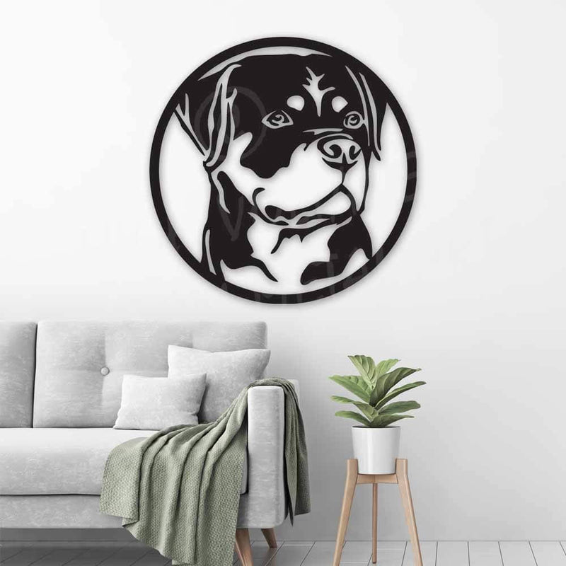 Rottweiler Portrait Dogs